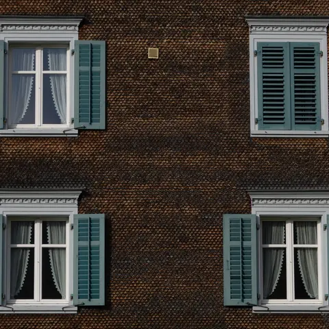 Façade de brique sombre avec fenêtres blanches et volets verts