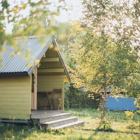 Abri de jardin en bois peint sous les arbres